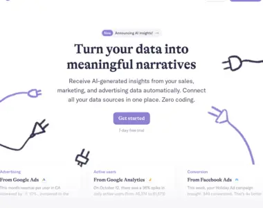 narrative bi